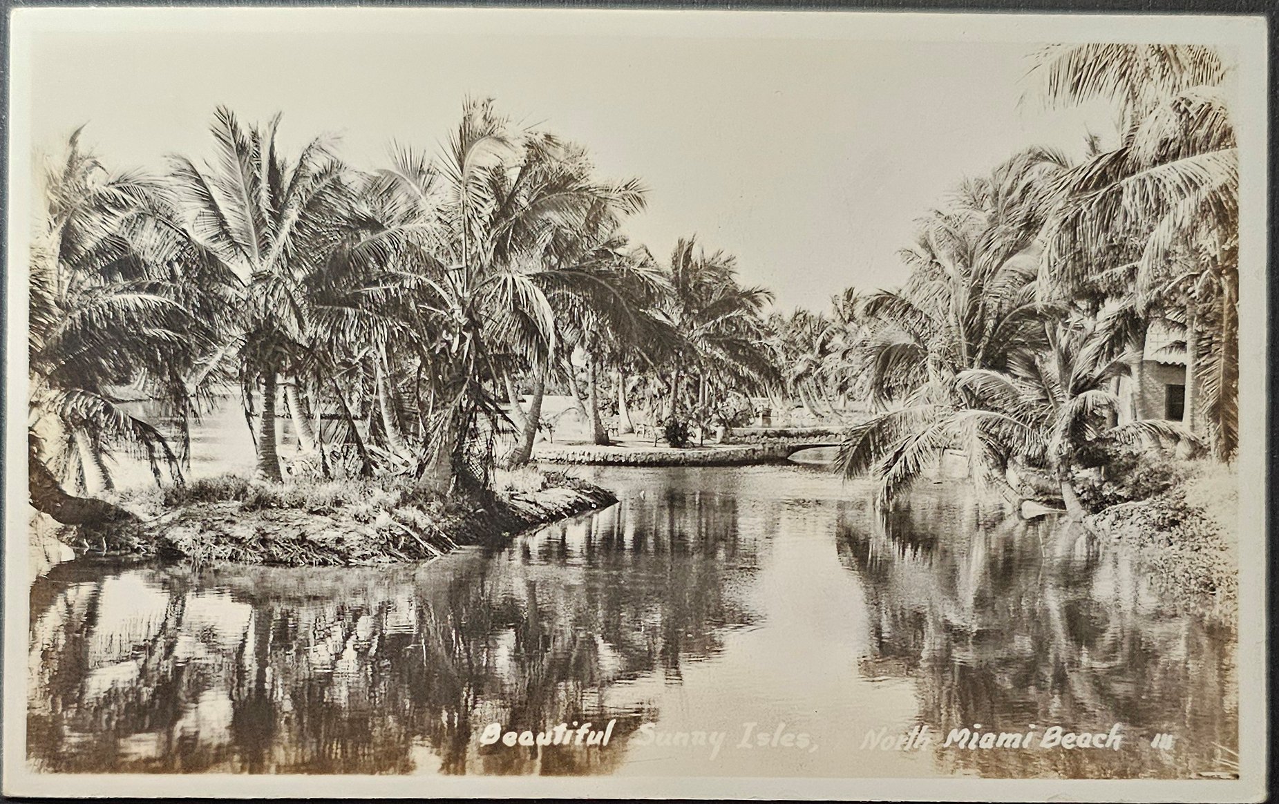 (image for) postcard USA - FL - Florida #0079